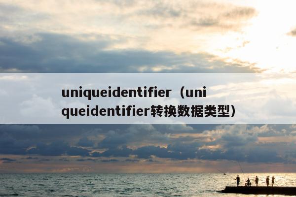 uniqueidentifier（uniqueidentifier转换数据类型）
