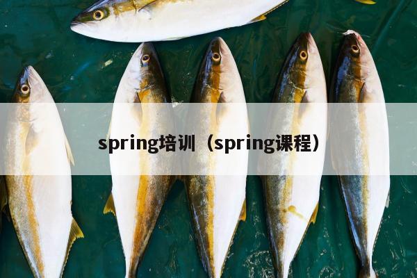 spring培训（spring课程）
