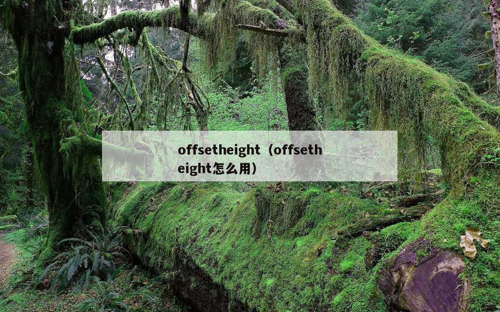 offsetheight（offsetheight怎么用）