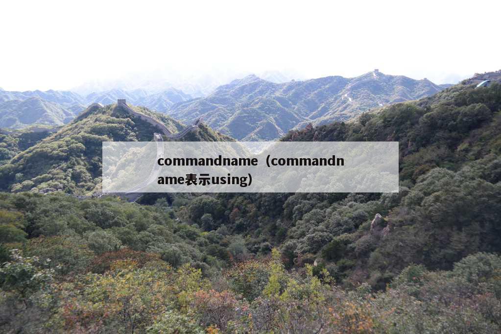commandname（commandname表示using）
