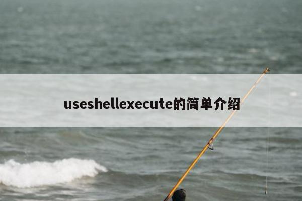useshellexecute的简单介绍