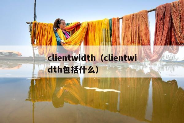 clientwidth（clientwidth包括什么）