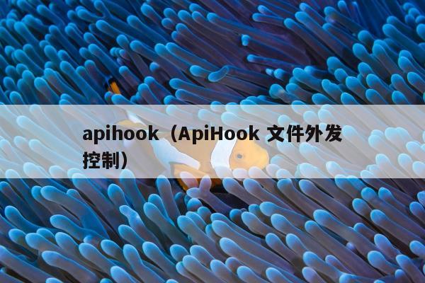 apihook（ApiHook 文件外发控制）
