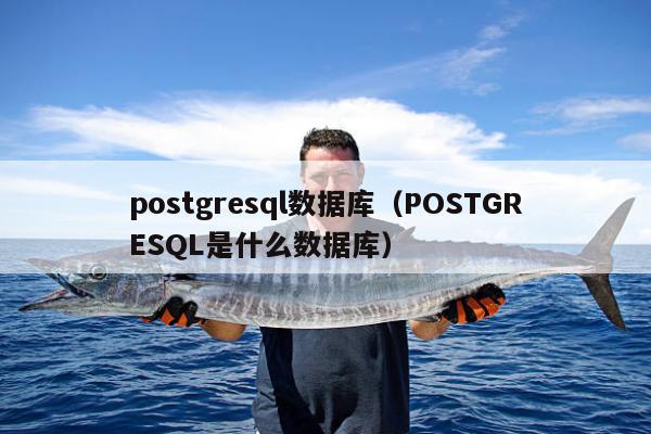 postgresql数据库（POSTGRESQL是什么数据库）