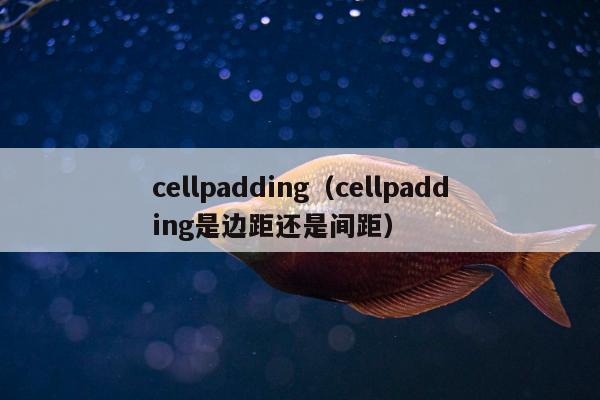 cellpadding（cellpadding是边距还是间距）