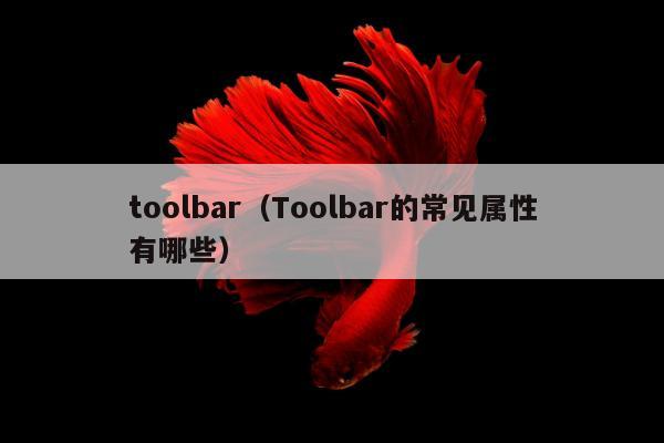 toolbar（Toolbar的常见属性有哪些）