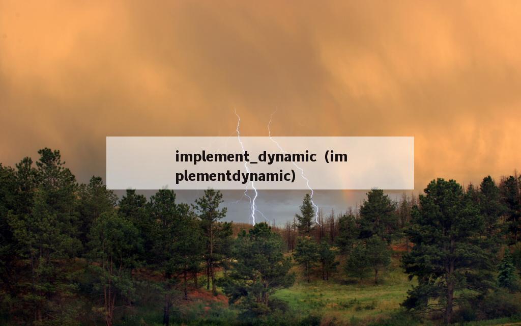 implement_dynamic（implementdynamic）
